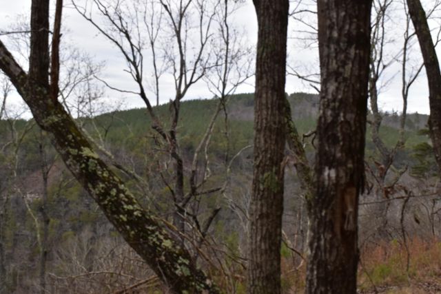 1075 Birds Eye Way Lot 1075, Guild, TN 37340