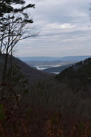 1075 Birds Eye Way Lot 1075, Guild, TN 37340