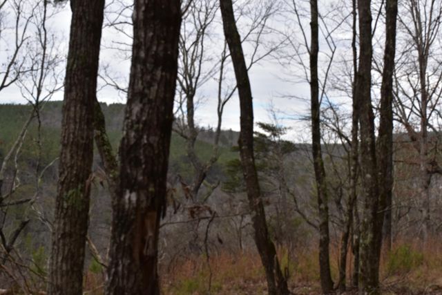 1075 Birds Eye Way Lot 1075, Guild, TN 37340