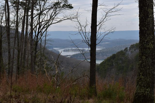 1075 Birds Eye Way Lot 1075, Guild, TN 37340
