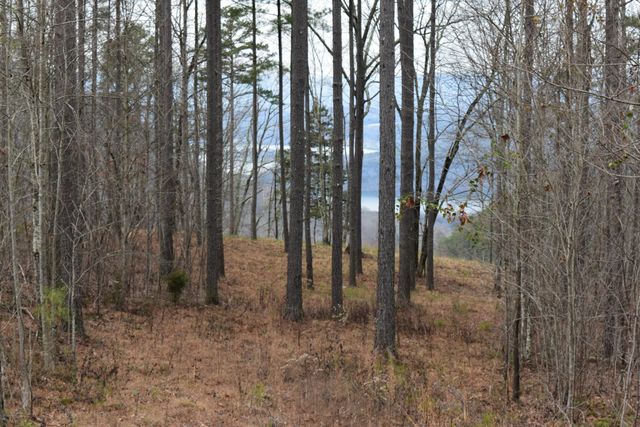 1075 Birds Eye Way Lot 1075, Guild, TN 37340
