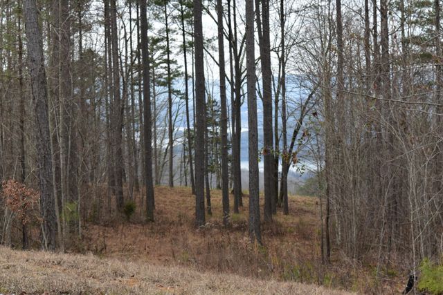 1075 Birds Eye Way Lot 1075, Guild, TN 37340
