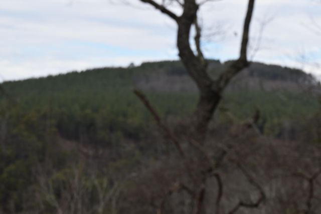 1075 Birds Eye Way Lot 1075, Guild, TN 37340