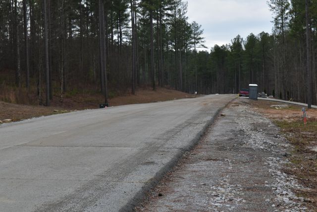 1075 Birds Eye Way Lot 1075, Guild, TN 37340