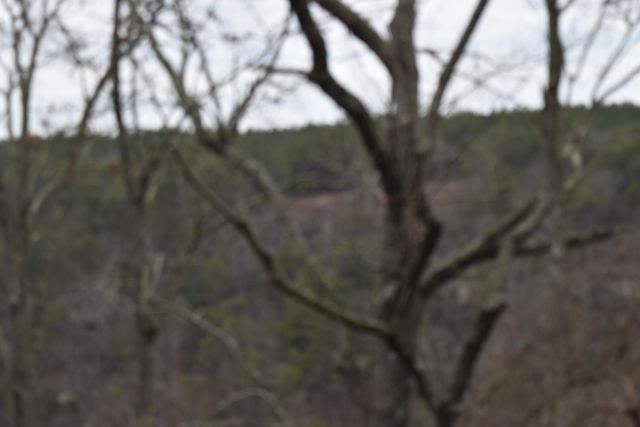 1075 Birds Eye Way Lot 1075, Guild, TN 37340