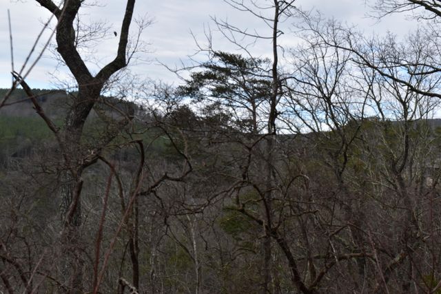 1075 Birds Eye Way Lot 1075, Guild, TN 37340