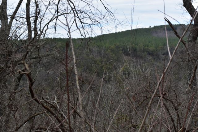 1075 Birds Eye Way Lot 1075, Guild, TN 37340