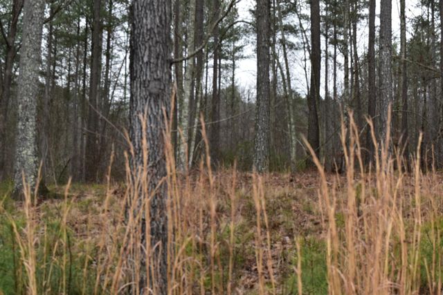 1075 Birds Eye Way Lot 1075, Guild, TN 37340