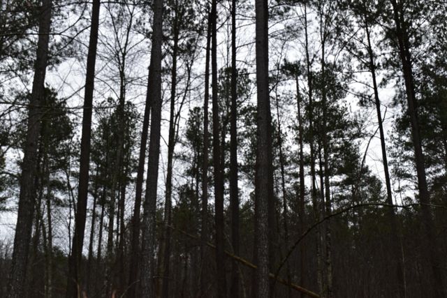 1075 Birds Eye Way Lot 1075, Guild, TN 37340