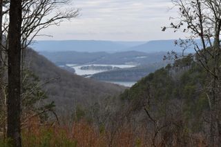 1075 Birds Eye Way Lot 1075, Guild, TN 37340