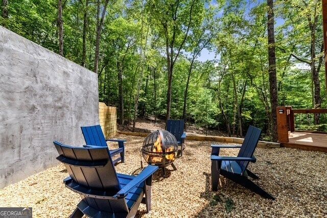 1360 Black Ankle Creek Road, Blue Ridge, GA 30513