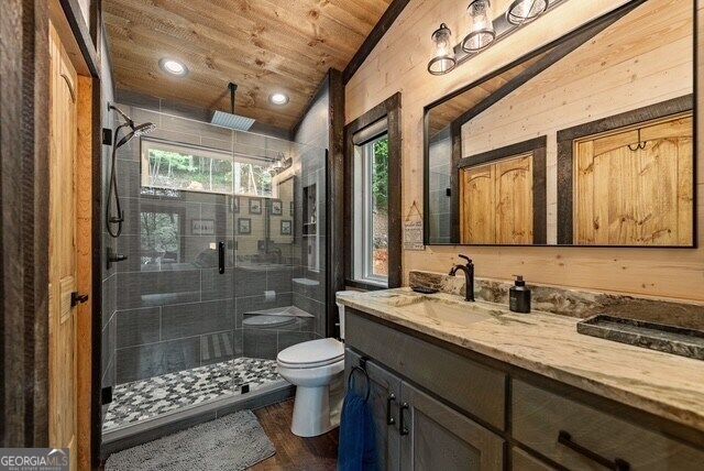 1360 Black Ankle Creek Road, Blue Ridge, GA 30513