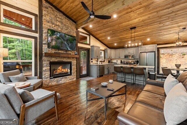 1360 Black Ankle Creek Road, Blue Ridge, GA 30513