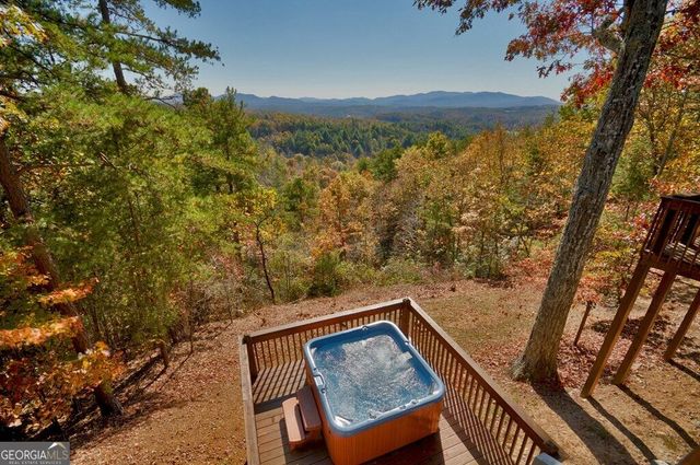 1360 Black Ankle Creek Road, Blue Ridge, GA 30513