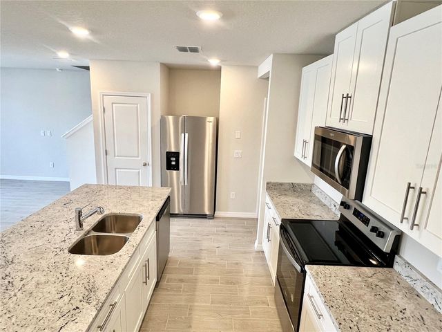 32441 LIMITLESS PLACE, Wesley Chapel, FL 33545