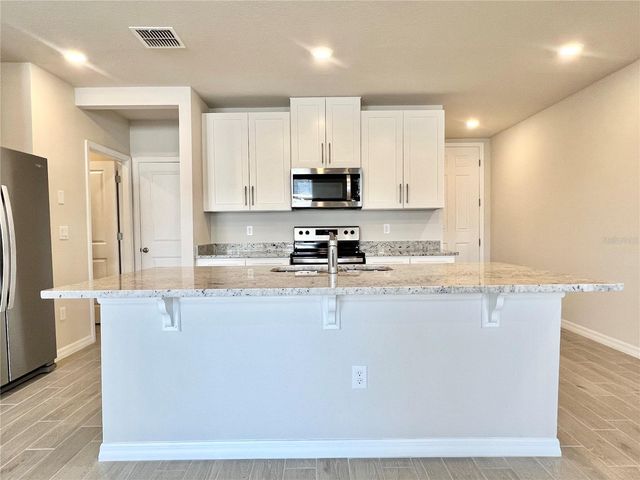 32441 LIMITLESS PLACE, Wesley Chapel, FL 33545