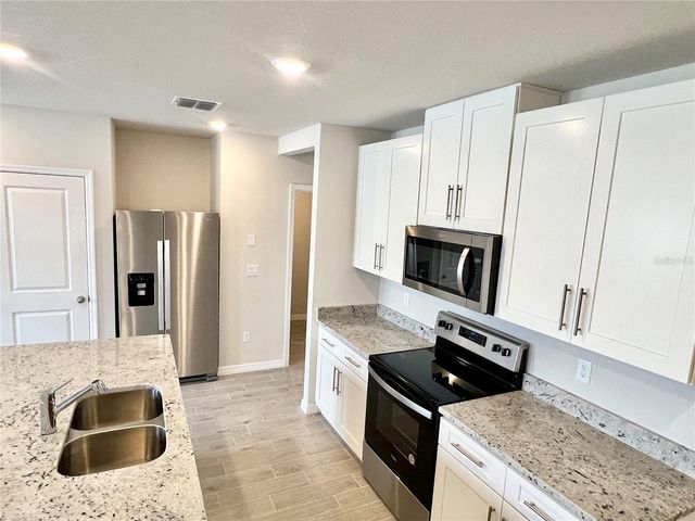 32441 LIMITLESS PLACE, Wesley Chapel, FL 33545