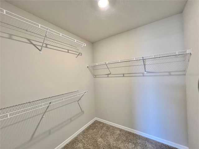 32441 LIMITLESS PLACE, Wesley Chapel, FL 33545