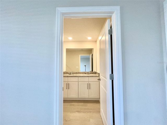 32441 LIMITLESS PLACE, Wesley Chapel, FL 33545