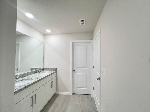 32441 LIMITLESS PLACE, Wesley Chapel, FL 33545