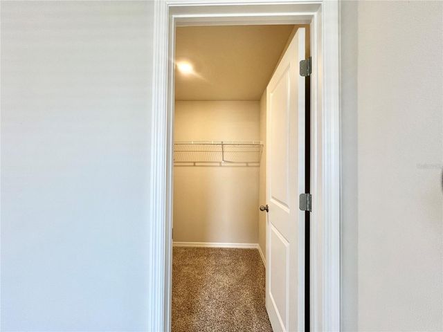 32441 LIMITLESS PLACE, Wesley Chapel, FL 33545