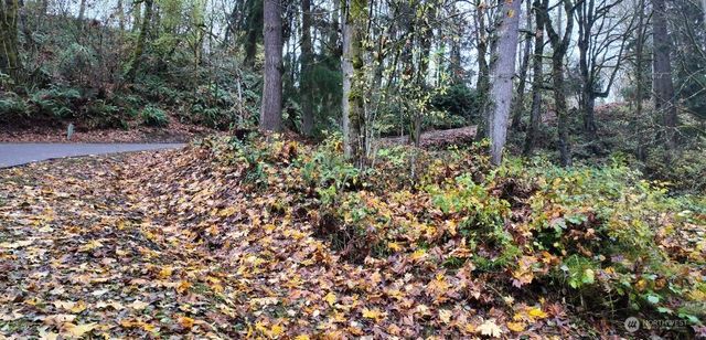 0 Caseco Lane, Port Orchard, WA 98366