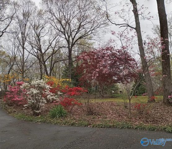 4414 Willow Bend Road SE, Decatur, AL 35603