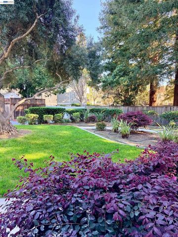 38508 Mary Ter 4, Fremont, CA 94538