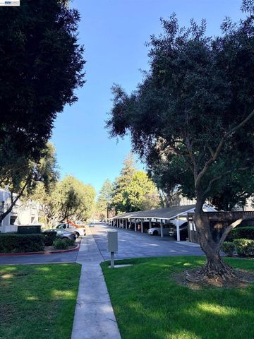 38508 Mary Ter 4, Fremont, CA 94538