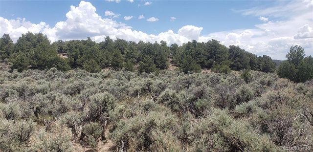 Lot 1505 Juarez & Dunn Road, San Luis, CO 81152