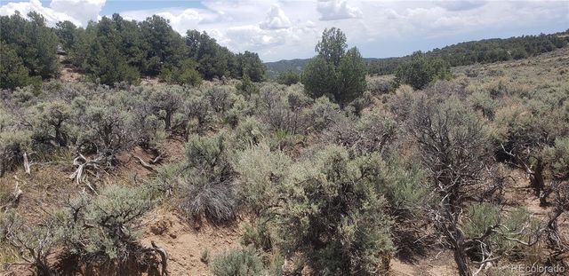 Lot 1505 Juarez & Dunn Road, San Luis, CO 81152