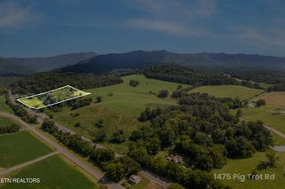 Lot 5 Pig Trot Rd, Newport, TN 37821