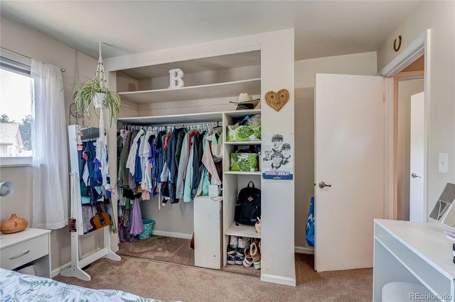 182 Johnson Drive, Castle Rock, CO 80104