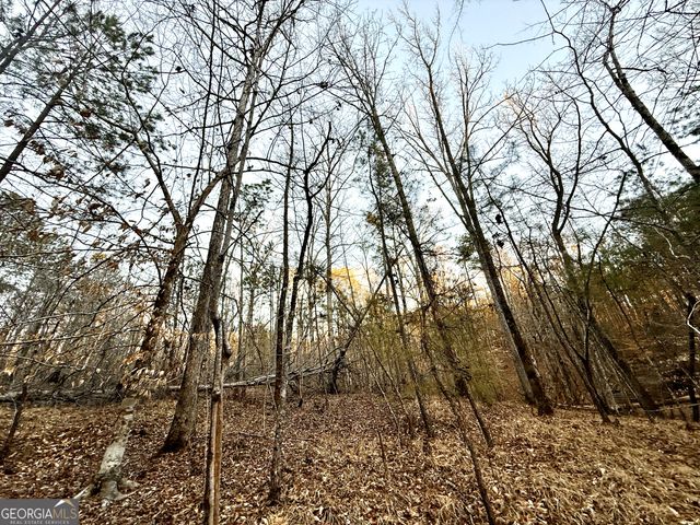 9 Cedar Creek Road, Elberton, GA 30635
