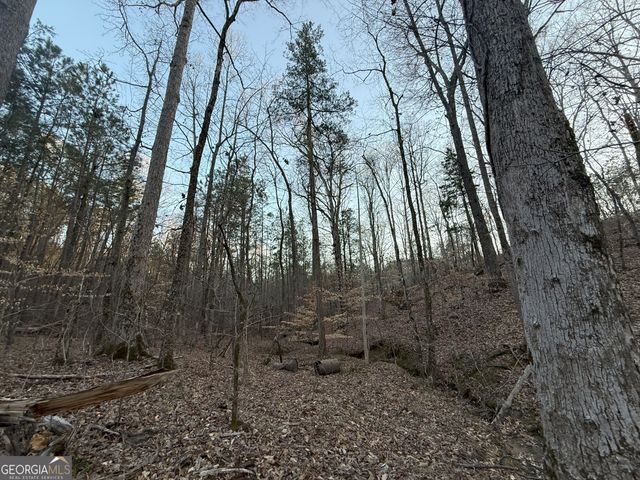9 Cedar Creek Road, Elberton, GA 30635