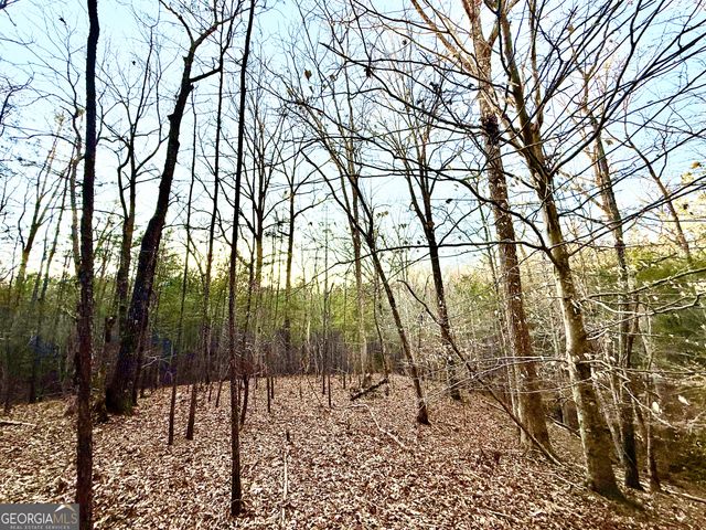 9 Cedar Creek Road, Elberton, GA 30635