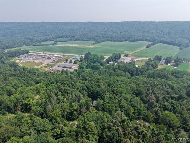 8 Deer Run Road, Holland, NY 14080
