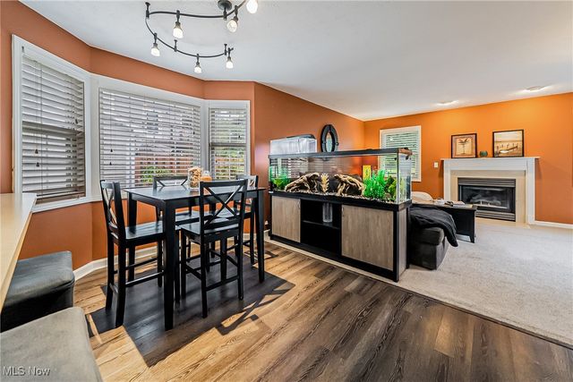 3886 Commodore Cove E, Reminderville, OH 44202