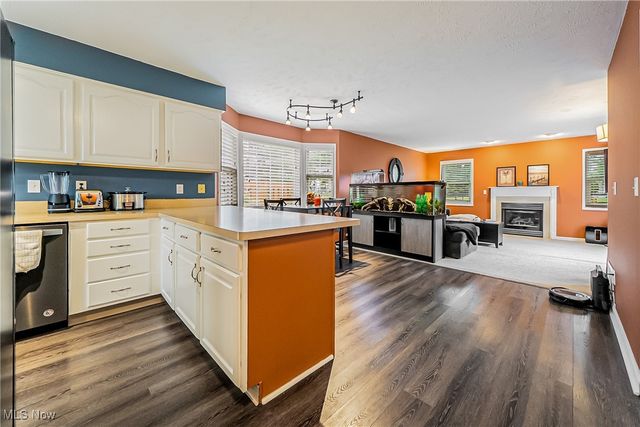 3886 Commodore Cove E, Reminderville, OH 44202