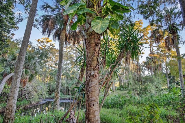 6350 LOST TRAIL, Holiday, FL 34690