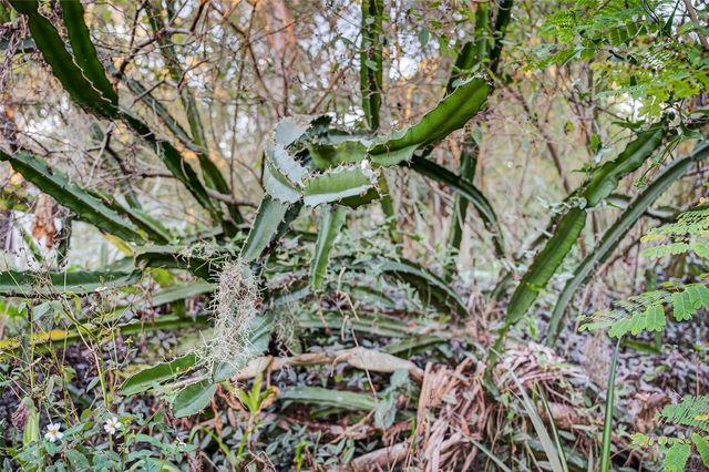 6350 LOST TRAIL, Holiday, FL 34690