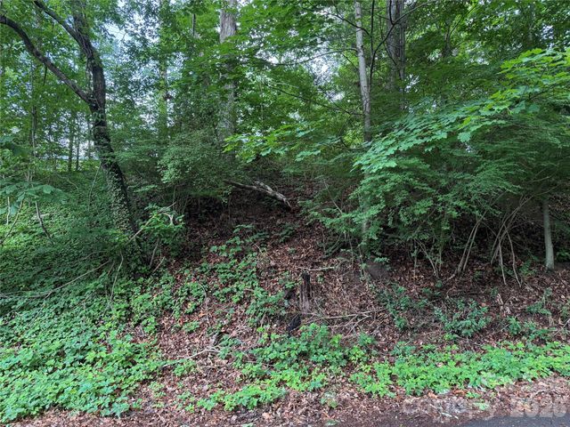 87 Iris Street, Asheville, NC 28803