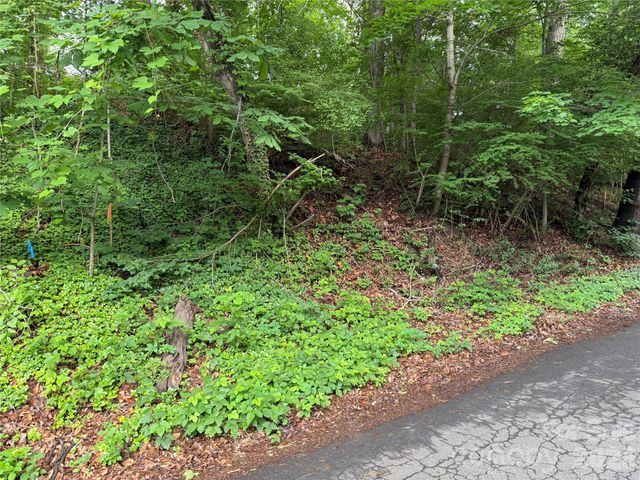 87 Iris Street, Asheville, NC 28803