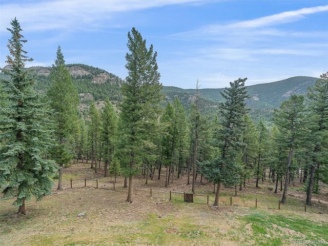 254 Juniper Lane, Evergreen, CO 80439