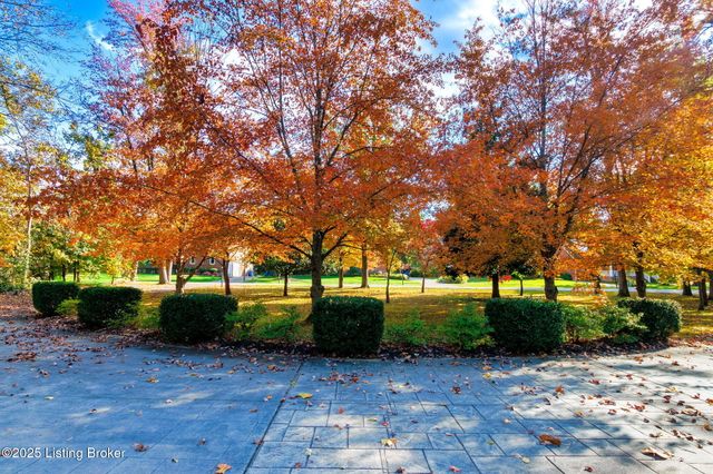 11805 Cedardale Rd, Anchorage, KY 40223