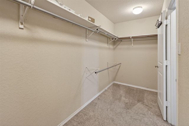 428 Agave Flats Drive, New Braunfels, TX 78130