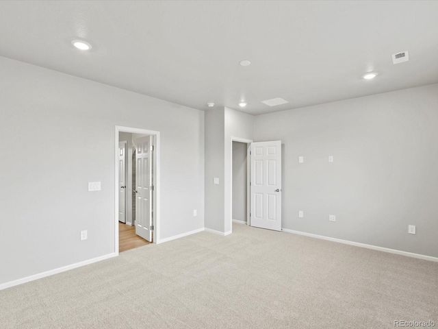 1629 Yampa River Drive, Windsor, CO 80550