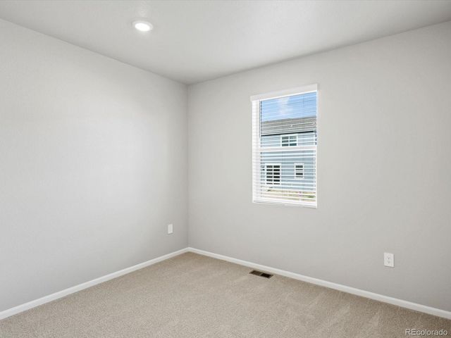 1629 Yampa River Drive, Windsor, CO 80550