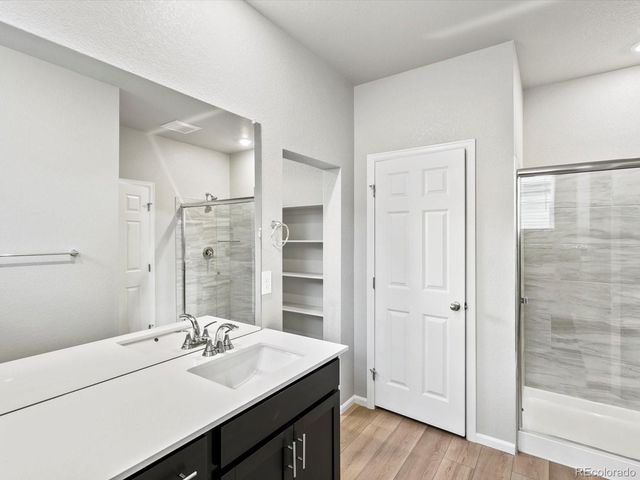 1629 Yampa River Drive, Windsor, CO 80550