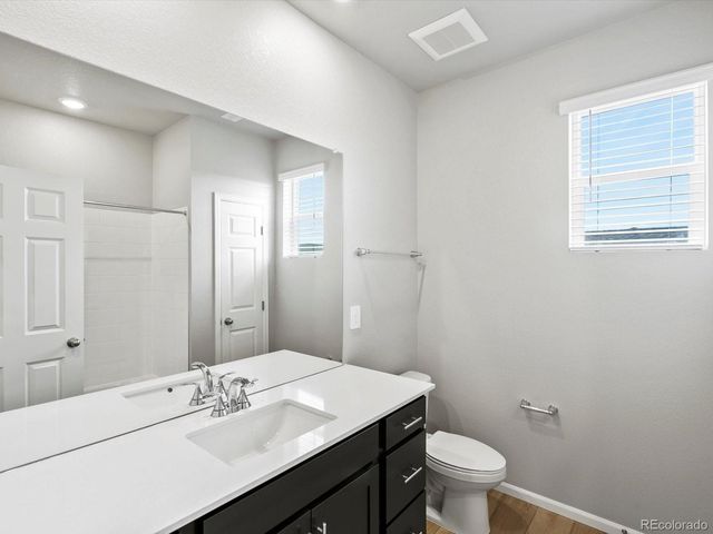 1629 Yampa River Drive, Windsor, CO 80550